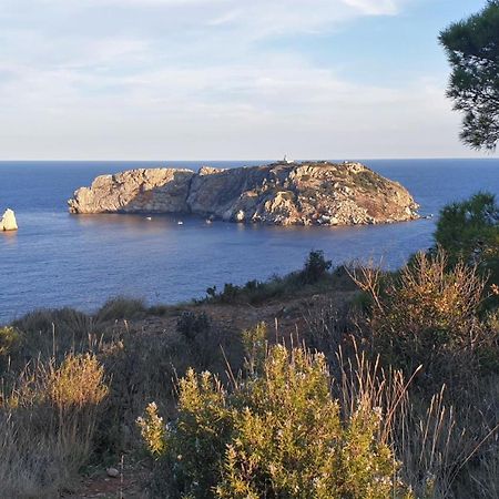 Apartamentos La Masia レスタルティット エクステリア 写真
