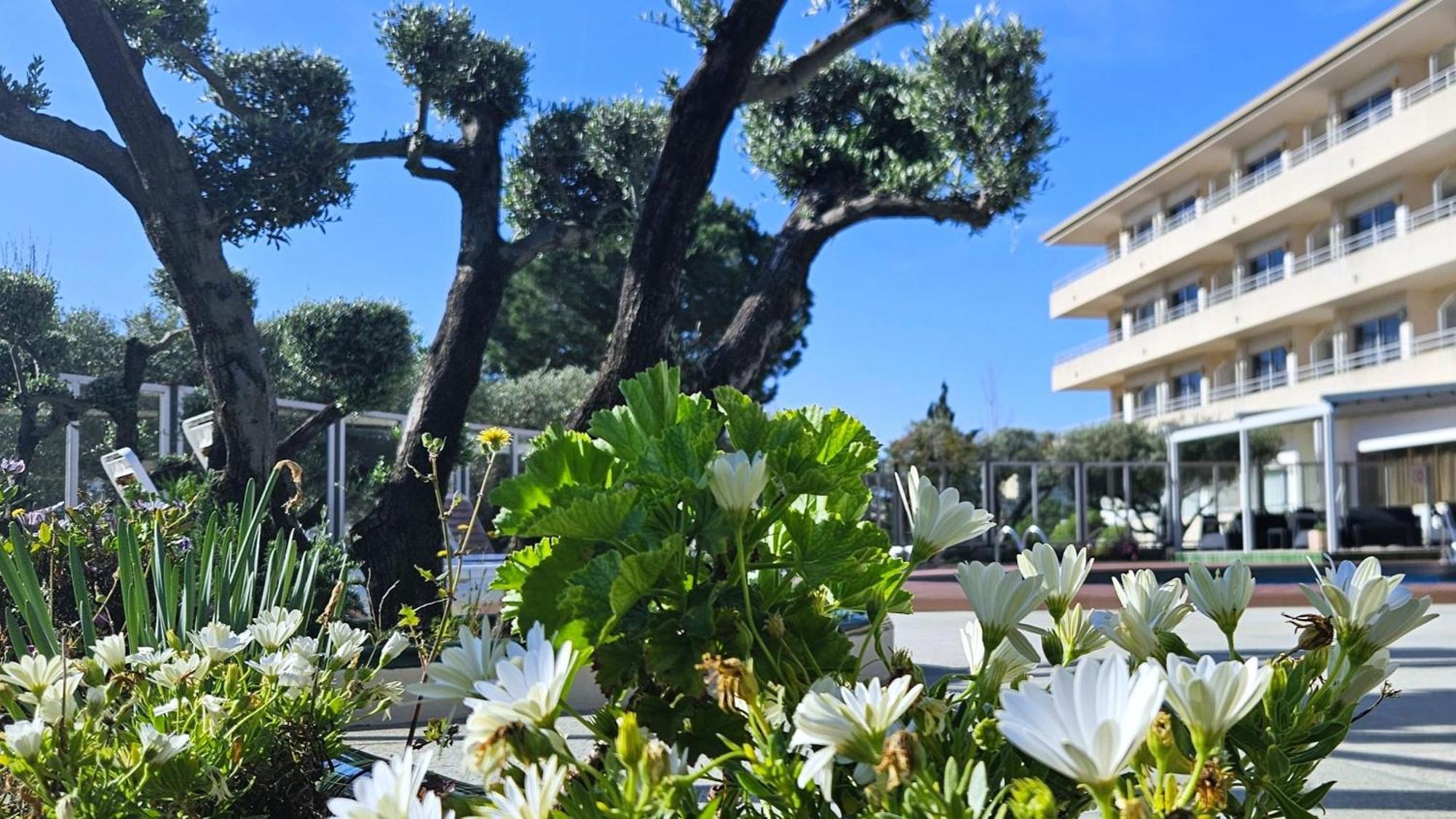 Apartamentos La Masia レスタルティット エクステリア 写真